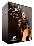 12 String Acoustic Guitar Loops and Vocal Loops